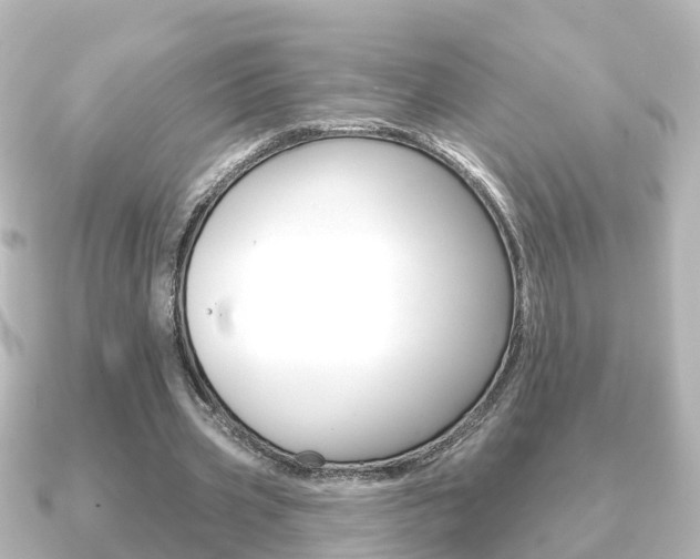 X0000091230533200708091115