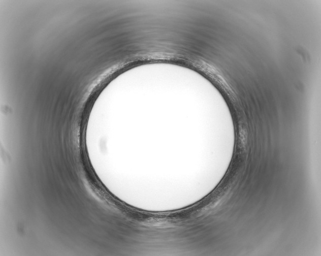 X0000091230534200708091115