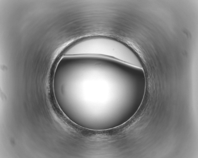 X0000091230536200708091115