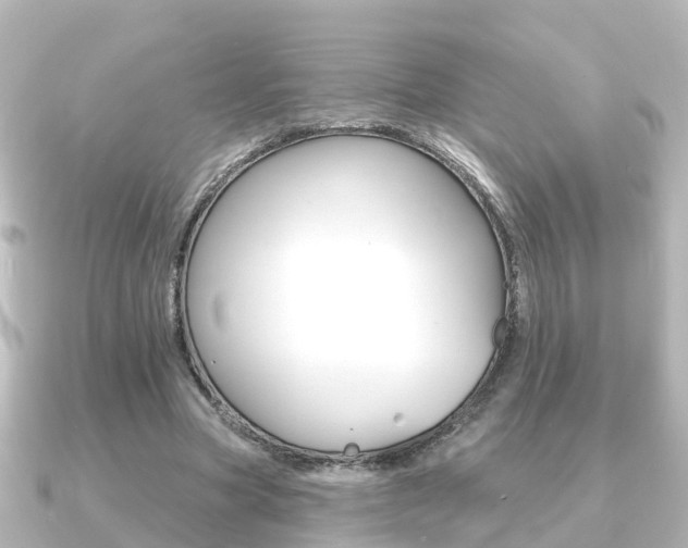 X0000091230537200708091115