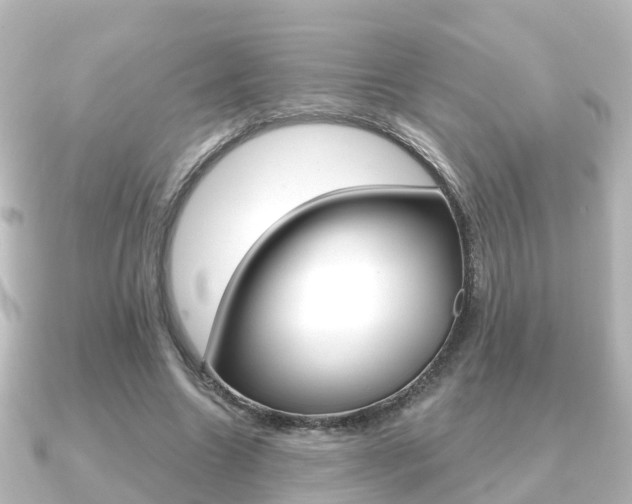 X0000091230538200708091115