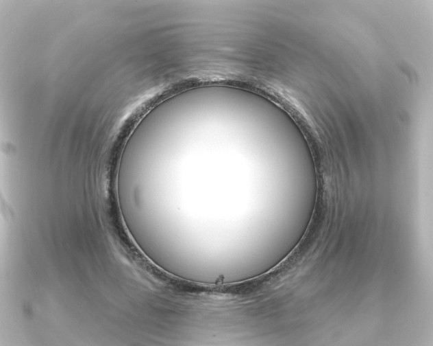 X0000091230539200708091115