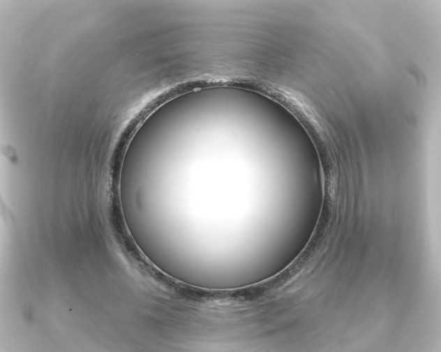 X0000091230540200708091115