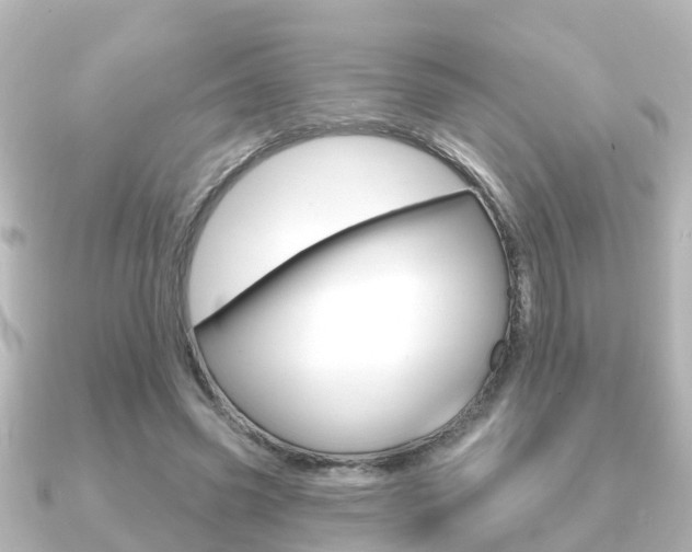 X0000091230541200708091115