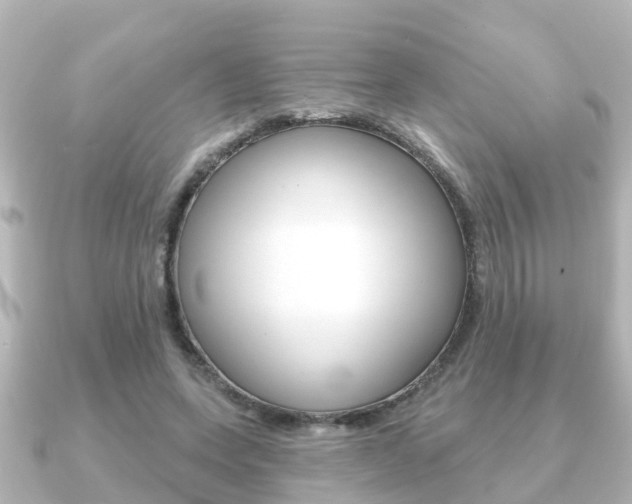 X0000091230543200708091115