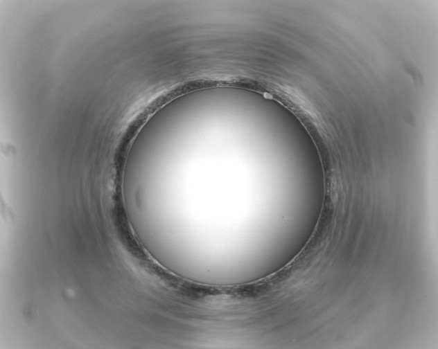 X0000091230544200708091115