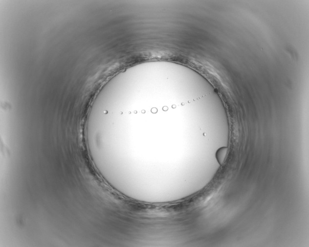 X0000091230545200708091115