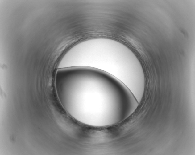 X0000091230548200708091115