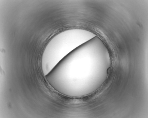 X0000091230549200708091115