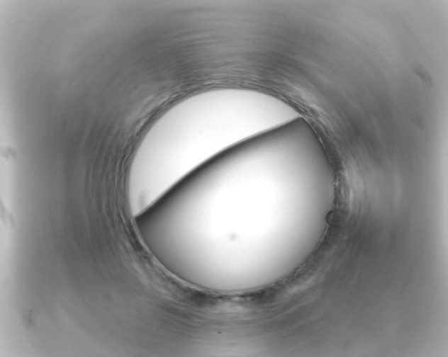 X0000091230550200708091115