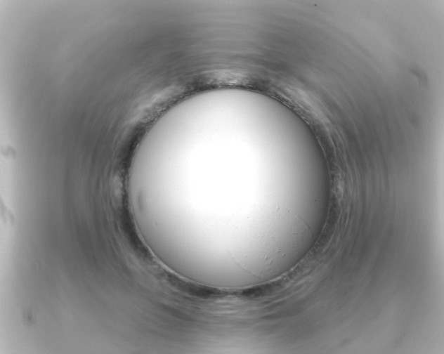 X0000091230551200708091115