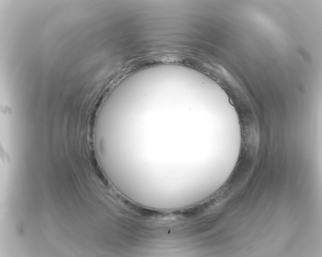 X0000091230553200708091115