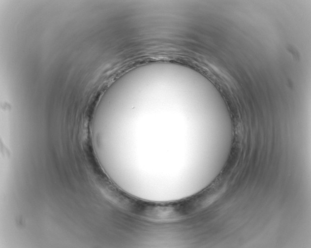 X0000091230554200708091115