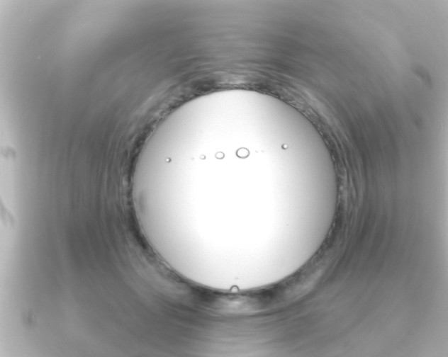 X0000091230557200708091115