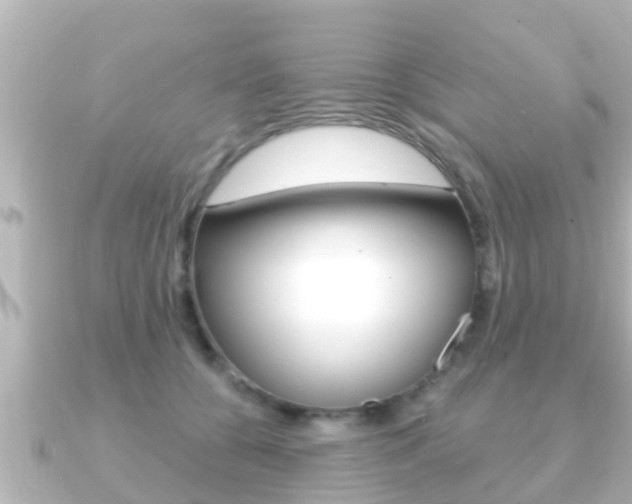 X0000091230560200708091115