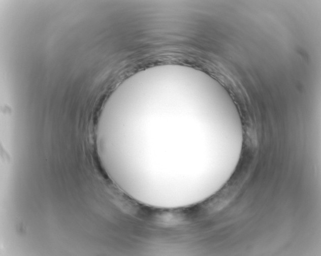 X0000091230561200708091115