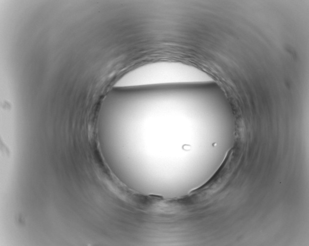 X0000091230568200708091115