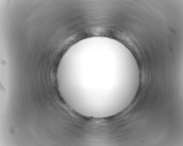 X0000091230569200708091115