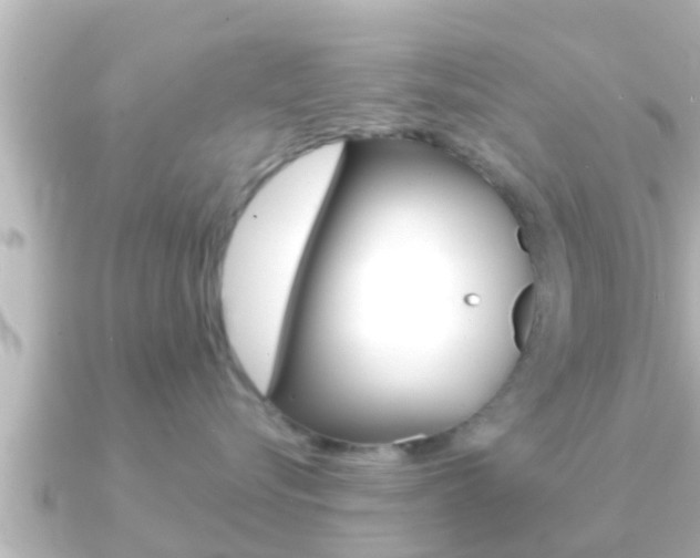 X0000091230576200708091115