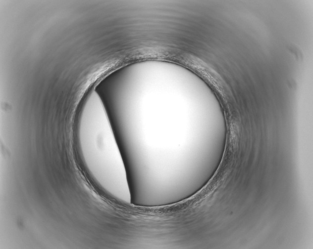 X0000091230578200708091115