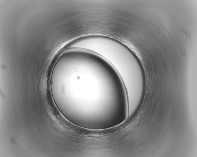 X0000091230580200708091115