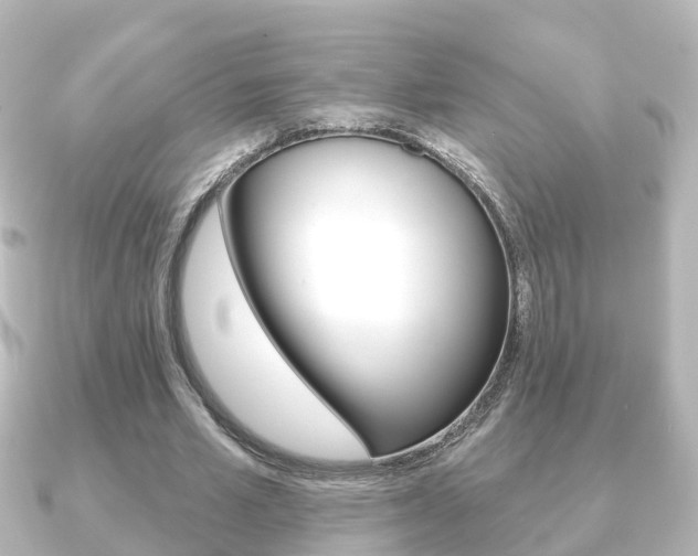 X0000091230581200708091115
