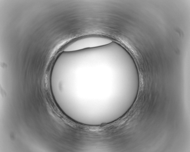 X0000091230583200708091115