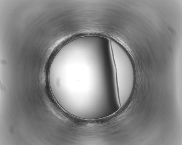 X0000091230584200708091115