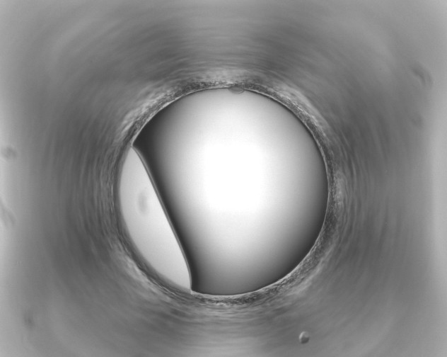 X0000091230585200708091115