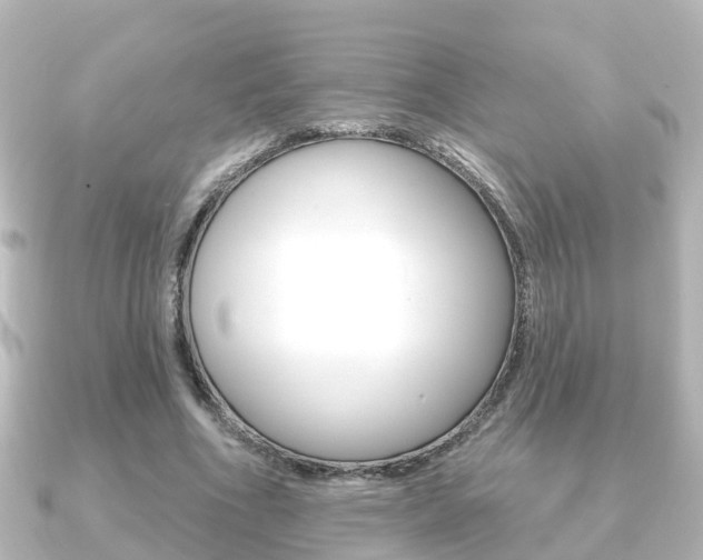 X0000091230586200708091115