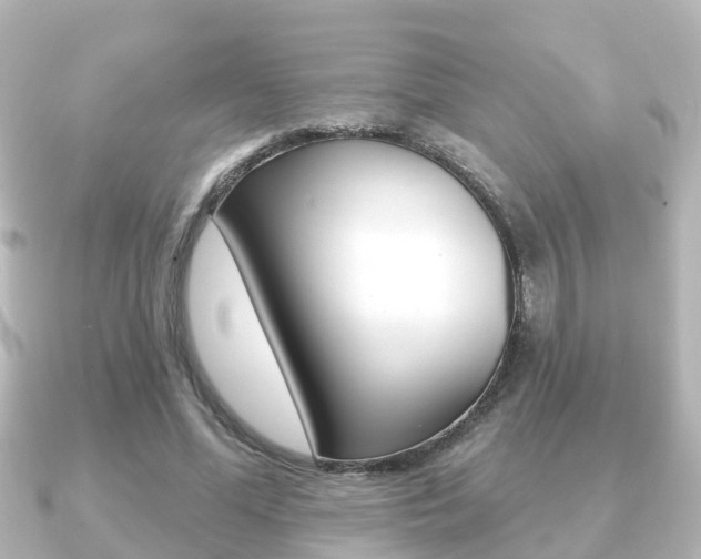 X0000091230588200708091115