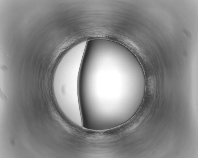 X0000091230589200708091115