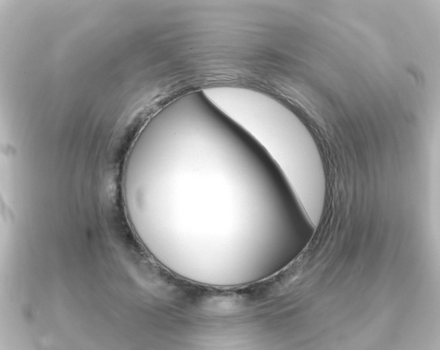 X0000091230595200708091115
