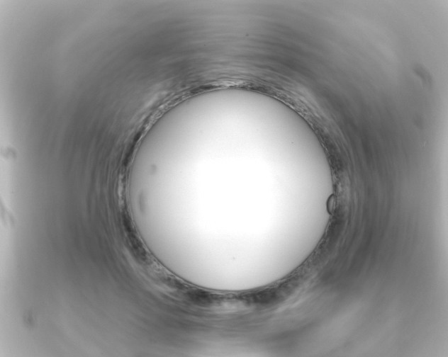 X0000091230598200708091115