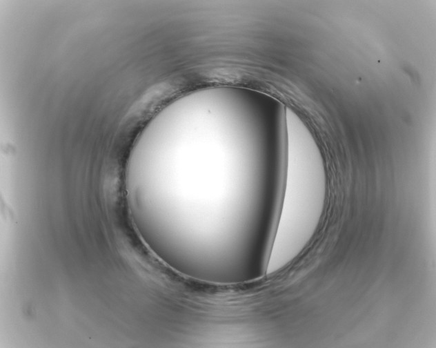 X0000091230600200708091115