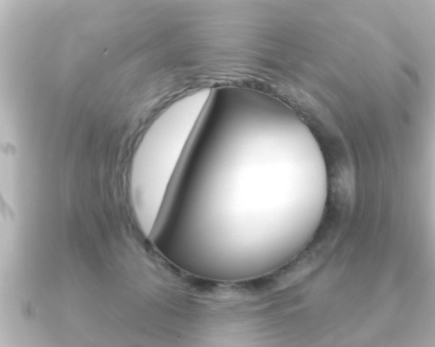 X0000091230608200708091114
