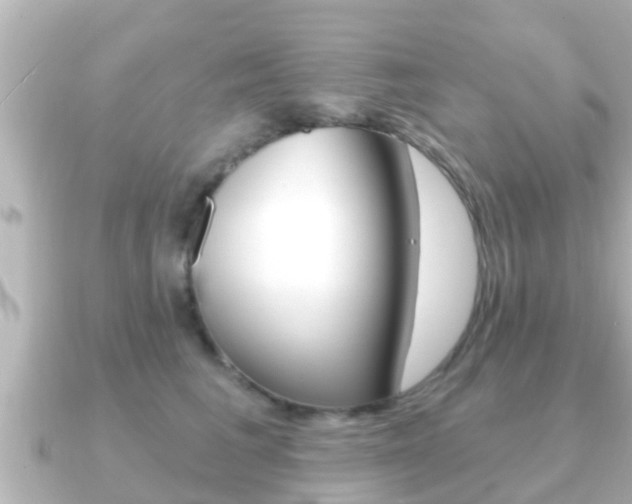 X0000091230613200708091114