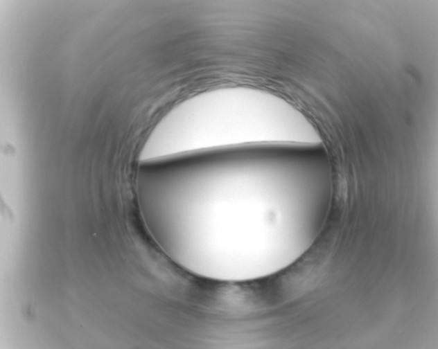 X0000091230616200708091114