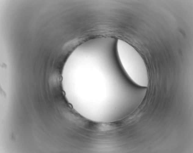 X0000091230623200708091114