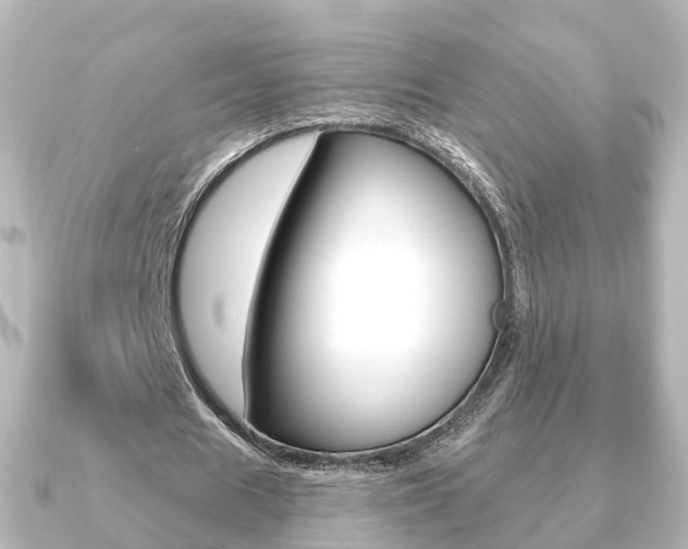 X0000091230625200708091114