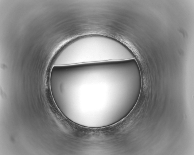 X0000091230628200708091114