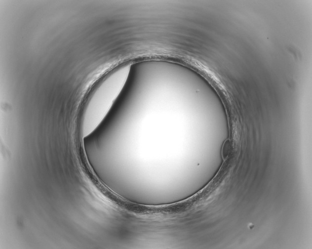 X0000091230629200708091114