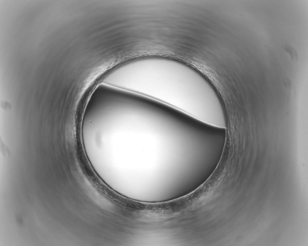 X0000091230630200708091114
