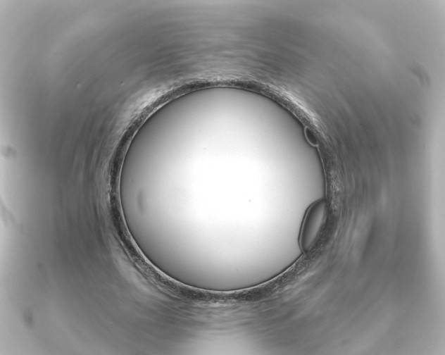 X0000091230631200708091114