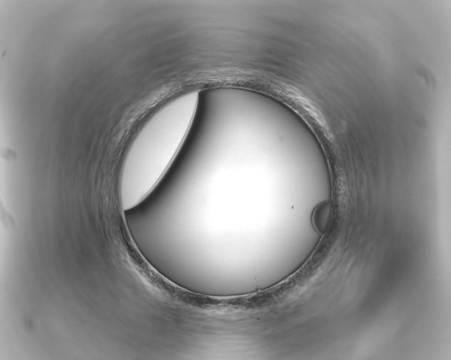 X0000091230633200708091114