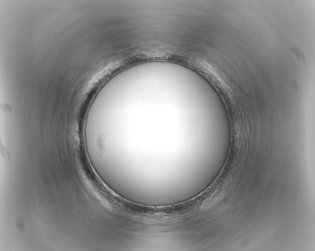 X0000091230634200708091114