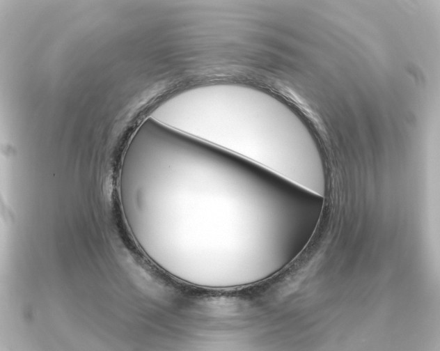 X0000091230637200708091114