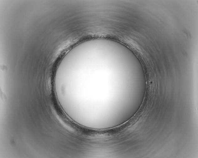 X0000091230638200708091114