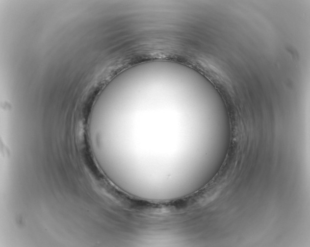 X0000091230646200708091114