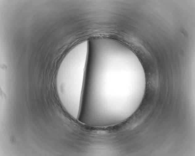 X0000091230649200708091114